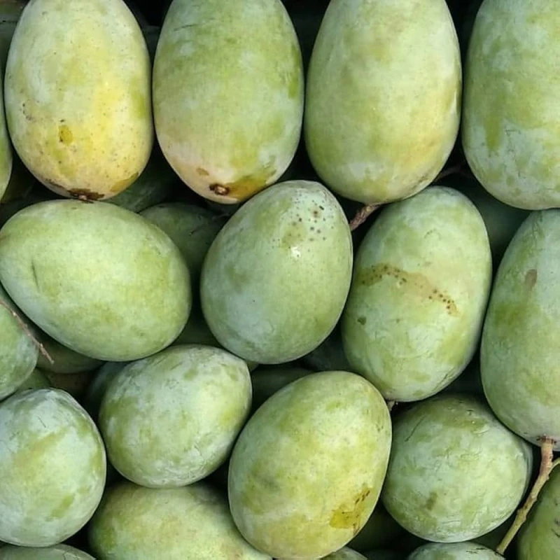 আম্রপালি 5KG  + ল্যাংড়া 5KG + হিমসাগর  5KG